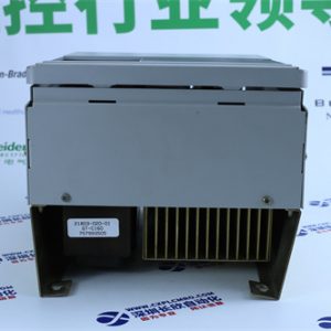 TRICONEX	3451 Digital output module