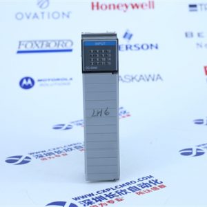 TRICONEX	0923-141-6957 Input/output module