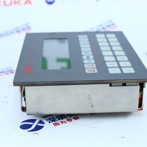 BENTLY	125800-01 Vibration monitoring and analysis module