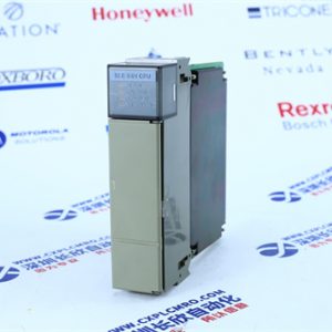 TRICONEX	3351 Secure voting and monitoring module