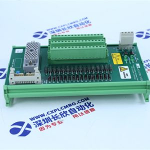 FOXBORO FBM04 Analog input/output interface module