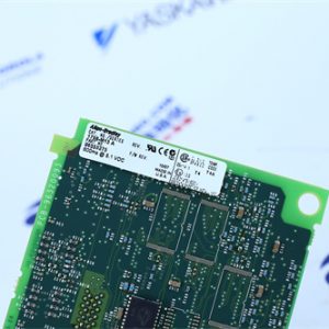 A-B	2711-M3A18L1 Digital input/output module