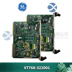 3500/22M 138607-01 Transient data interface module
