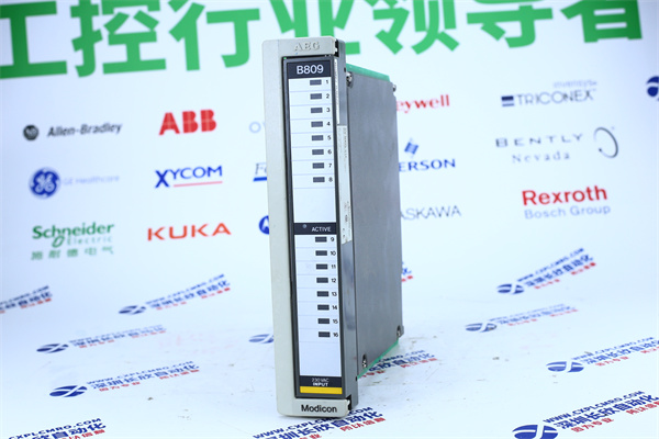 Schneider AS-B809-0161 Schneider AS-B809-0161