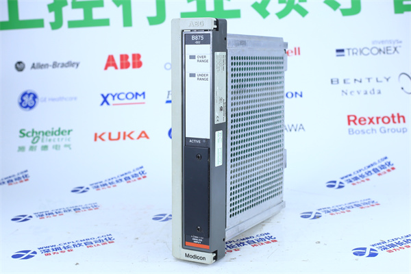 Schneider AS-B875-002 Schneider AS-B875-002