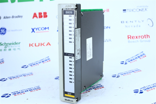 Schneider AS-B809-0162 Schneider AS-B809-0162