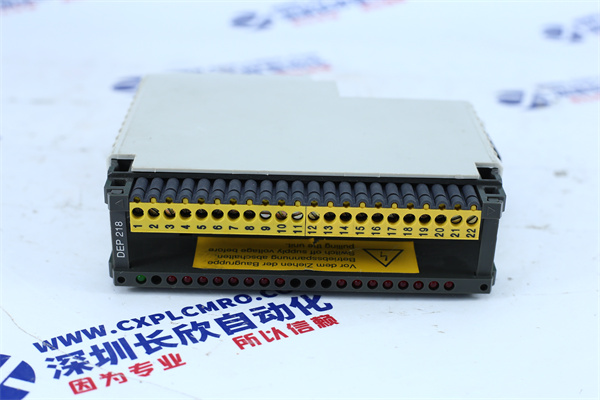 Schneider AS-BDEP-2181 Schneider AS-BDEP-2181