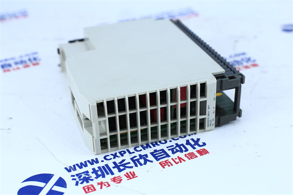 Schneider AS-BDEP-218 Schneider AS-BDEP-218