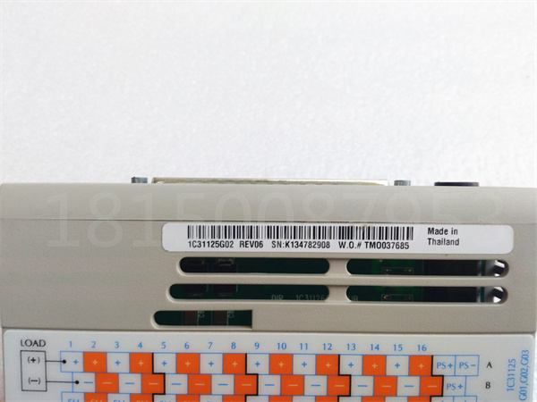 HONEYWELL 1C31125G02 HONEYWELL 1C31125G02