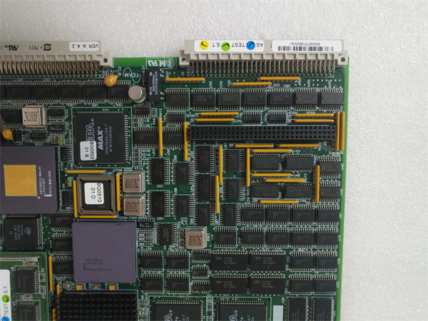 TEAM BG00901 TEAM BG00901