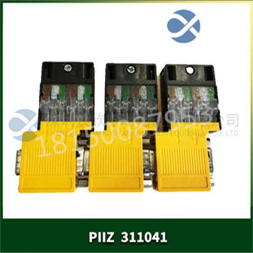 311041 PIIZ 311041 PIIZ