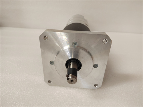 GE DS200TCPDG2B Digital controller module