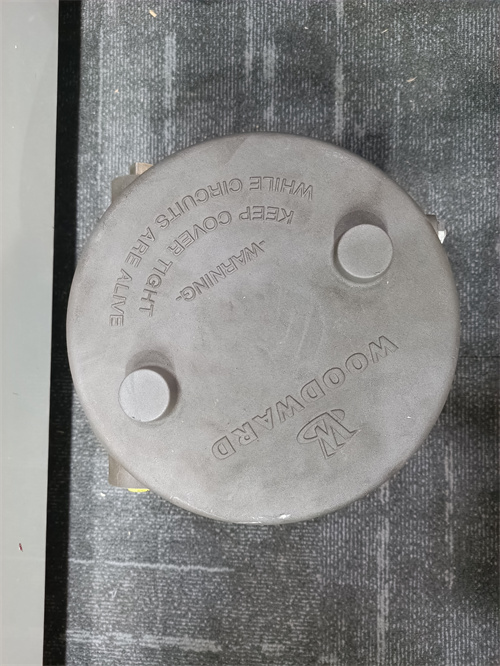 GE IS220PSVOH1A module GE IS220PSVOH1A module