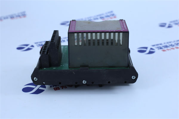 HONEYWELL CC-PAIH02 Analog input module