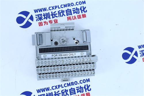 SCHNEIDER 140XBP01000 Analog output module1