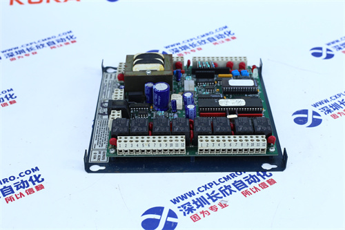 C200H-ID217 - Image 3