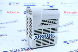 TRICONEX 2401 TRICONEX 2401