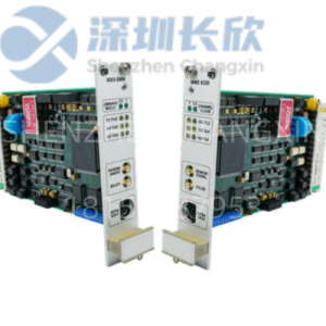 EPRO SDM010 – MMS6000 System Diagnostic & Display Module for Real-Time Vibration Monitoring